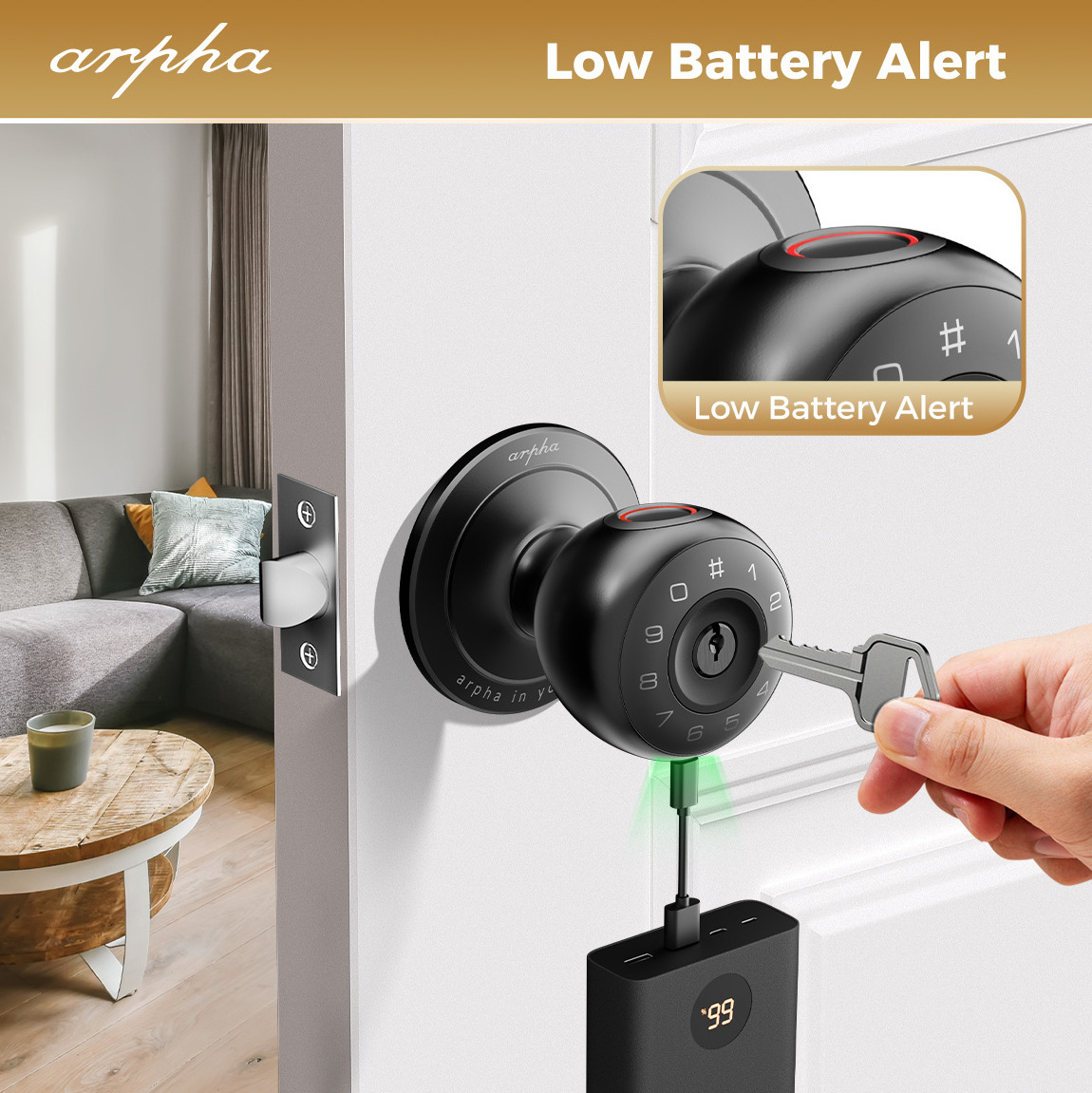 Arpha D260 Security Knob Lock Indoor Smart Door Lock Tuya App Digital Brand Smart Lock