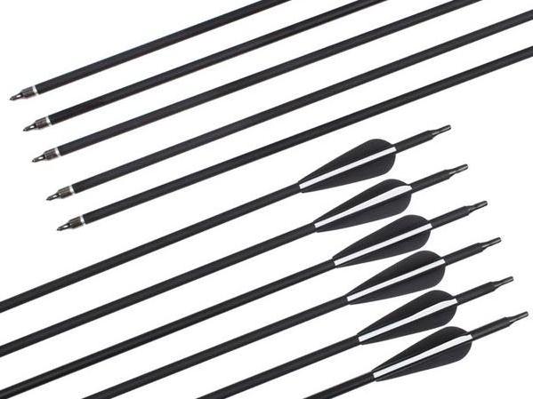 31 inch Carbon Arrow Combinable Portable Arrow Practice Hunting Arrows for Compound & Recurve Bow(Pack of 12)