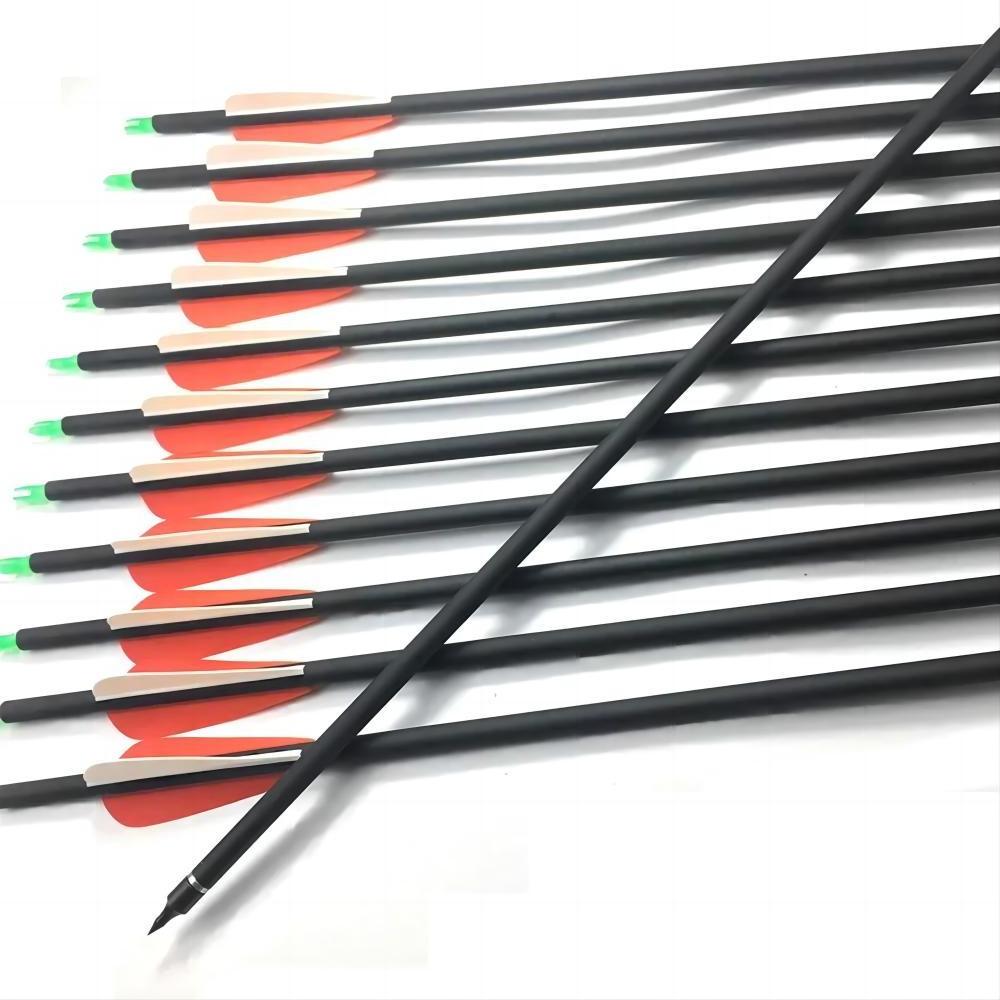 31 inch Carbon Arrow Combinable Portable Arrow Practice Hunting Arrows for Compound & Recurve Bow(Pack of 12)