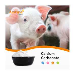 Pure Raw Calcium Carbonate For Poultry Feed Cattle Pig Chicken Duck Powder 325 Mesh Caco3 Calcium Carbonate For Animal Feed