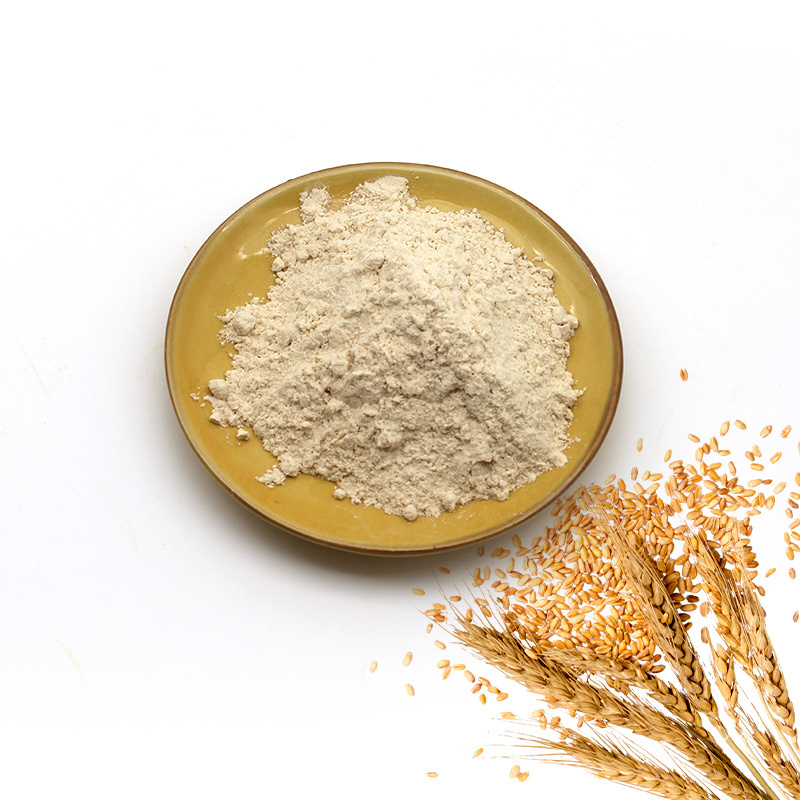 best quality gluten from wheat food additives cas: 8002-80-0 sciencelab bulk organic vital wheat gluten vital wheat gluten