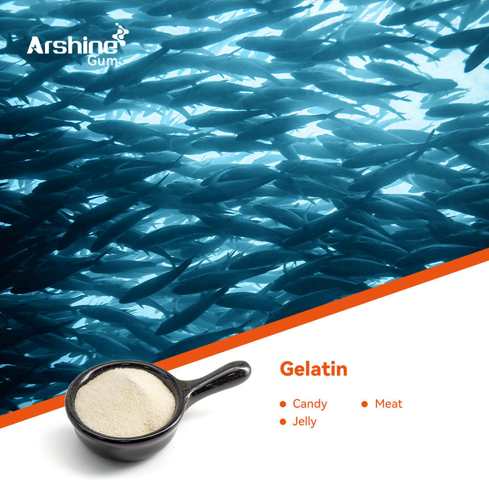 Fish Edible Gelatin Jpowder 250 Bloom Vietnamese Bulk Price 25 Kg Bag Halal Food Grade Powder Gelatin