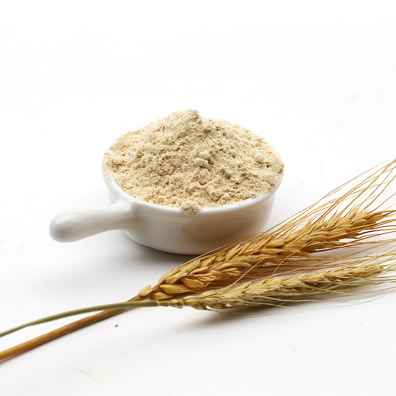 best quality gluten from wheat food additives cas: 8002-80-0 sciencelab bulk organic vital wheat gluten vital wheat gluten