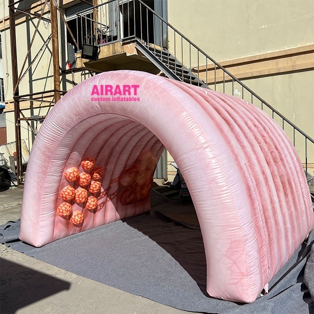 Tunnel Inflatables, Entrance Tunnel Inflated, Custom Inflatable Colon Tunnel