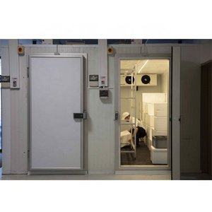 Customized Insulation Polyurethane Hinged Doors Refrigeration Swing Sliding Freezer Cold Room Storage Door Manufacturers