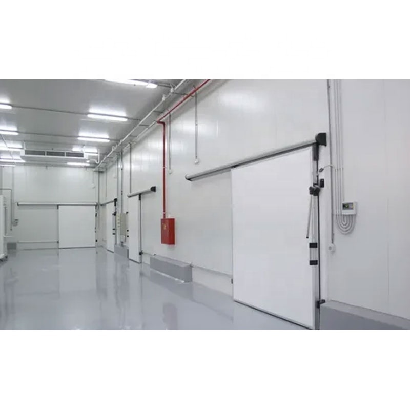 Customized Insulation Polyurethane Hinged Doors Refrigeration Swing Sliding Freezer Cold Room Storage Door Manufacturers