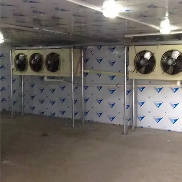 cold room for fruit and vegetable cold storage room for meat/widely used freezer cold room for sale