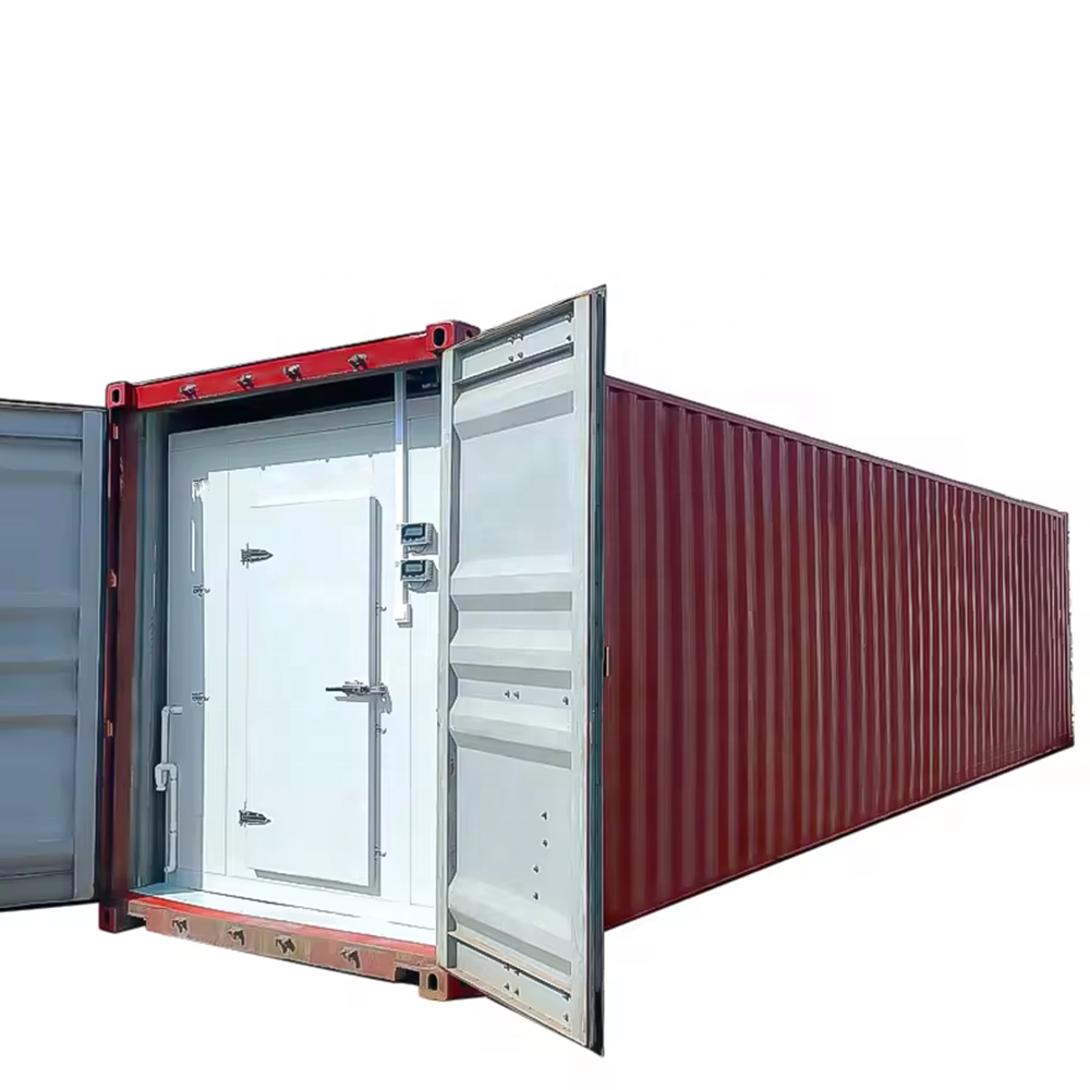 Solar Powered 20 Foot Containers Walk In Frozen Freezer Cold Rooms With Cool Room Panels