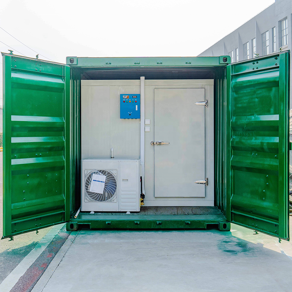 Solar Powered 20 Foot Containers Walk In Frozen Freezer Cold Rooms With Cool Room Panels