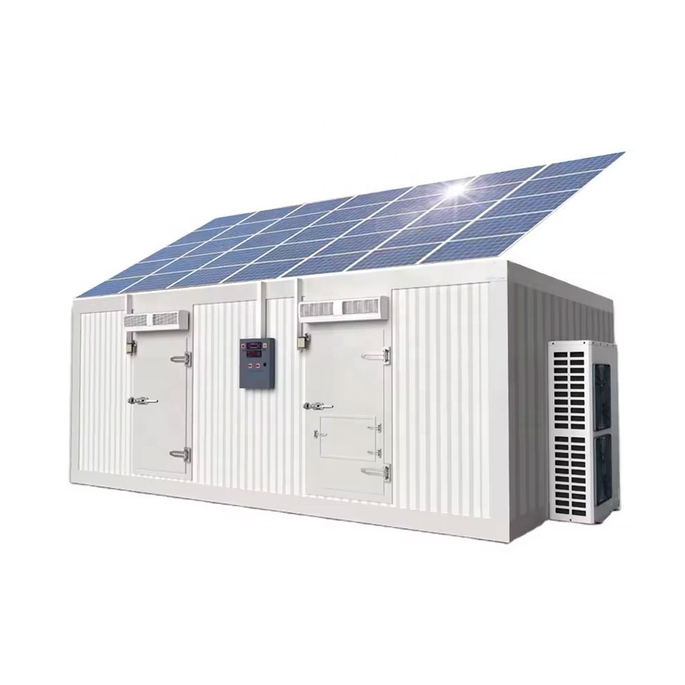 20ft 40ft solar powered cold storage container refrigeration unit price walk in freezer blast solar cold room for meat fish