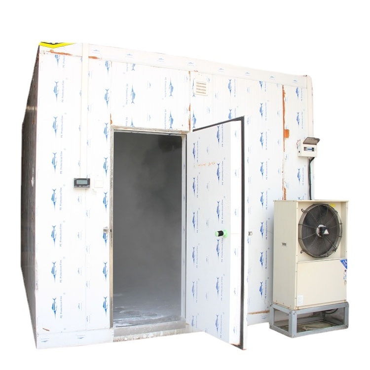 Cold Storage Cold Room Cooling System Freezer Room For Meat And Fish