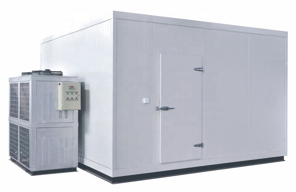 Small Size Cold Storage Room Price Refrigerated Cold Room For Meat Fish Fruits and Vegetables