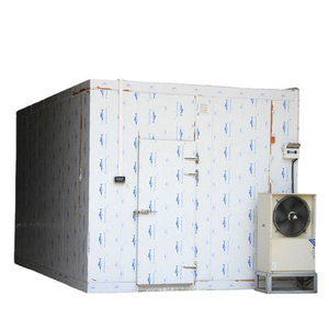 Cold Storage Cold Room Cooling System Freezer Room For Meat And Fish