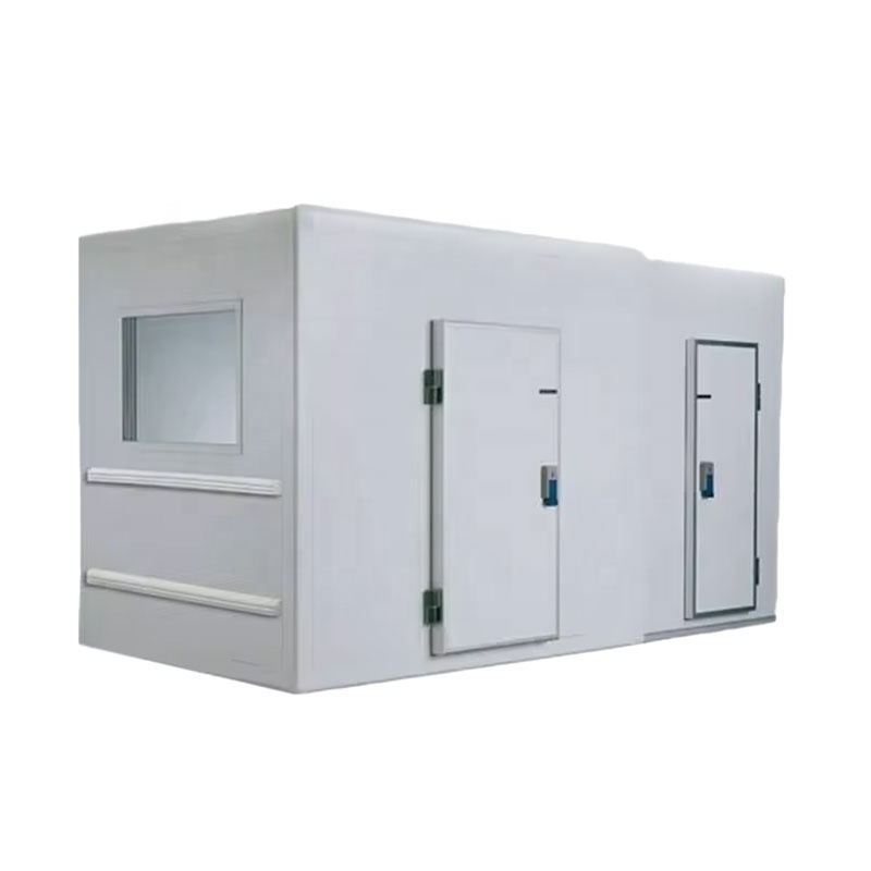 Arteco Modular Cold Room Quick Build Walk Ins Ship Small Cold Storage Rooms with PU Insulated Calmlock Sandwich Panel