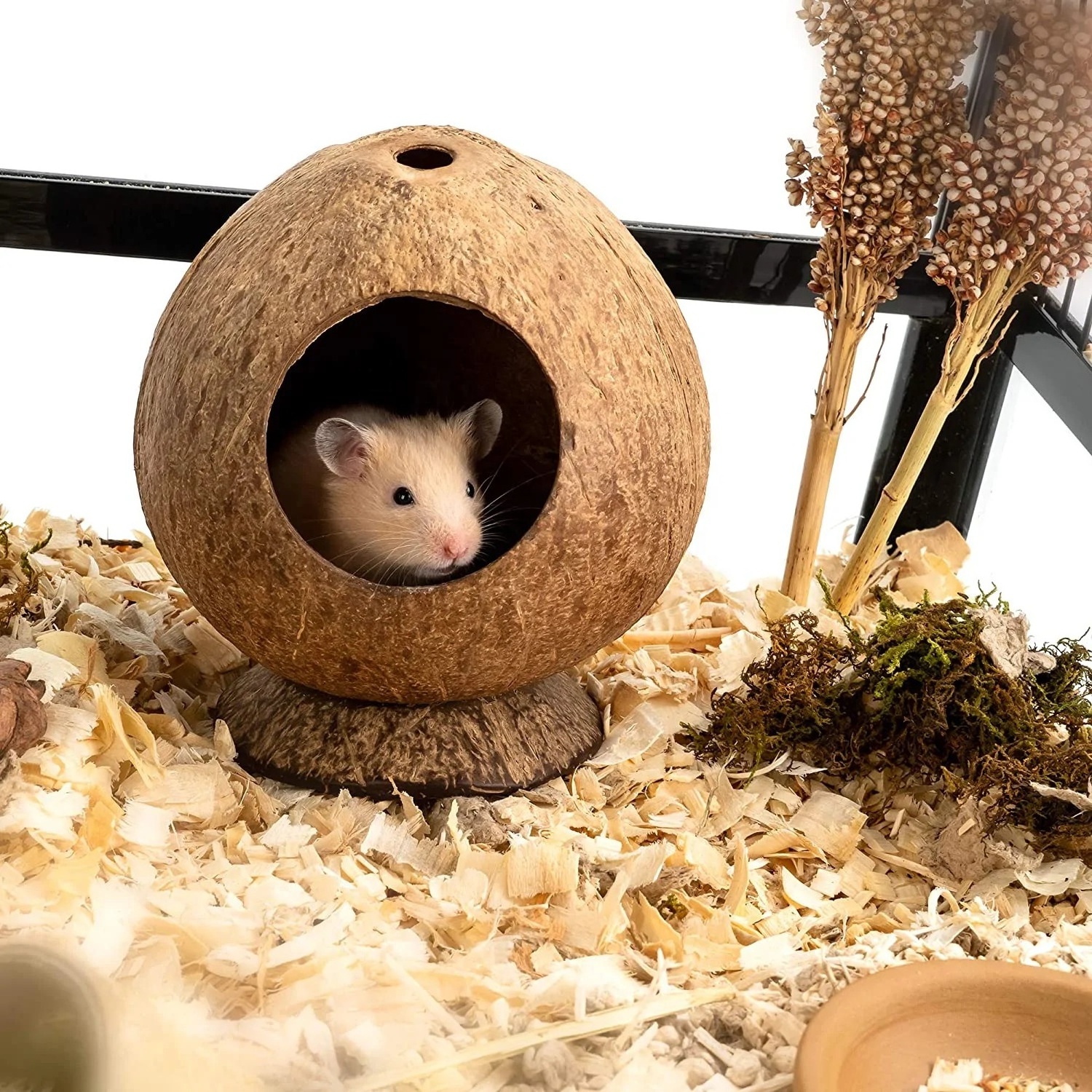 Coconut Hut Hamster House Bed for Gerbils Mice Small Animal Cage Hamster Hideout Coconut Nest Cage Handmade From Vietnam