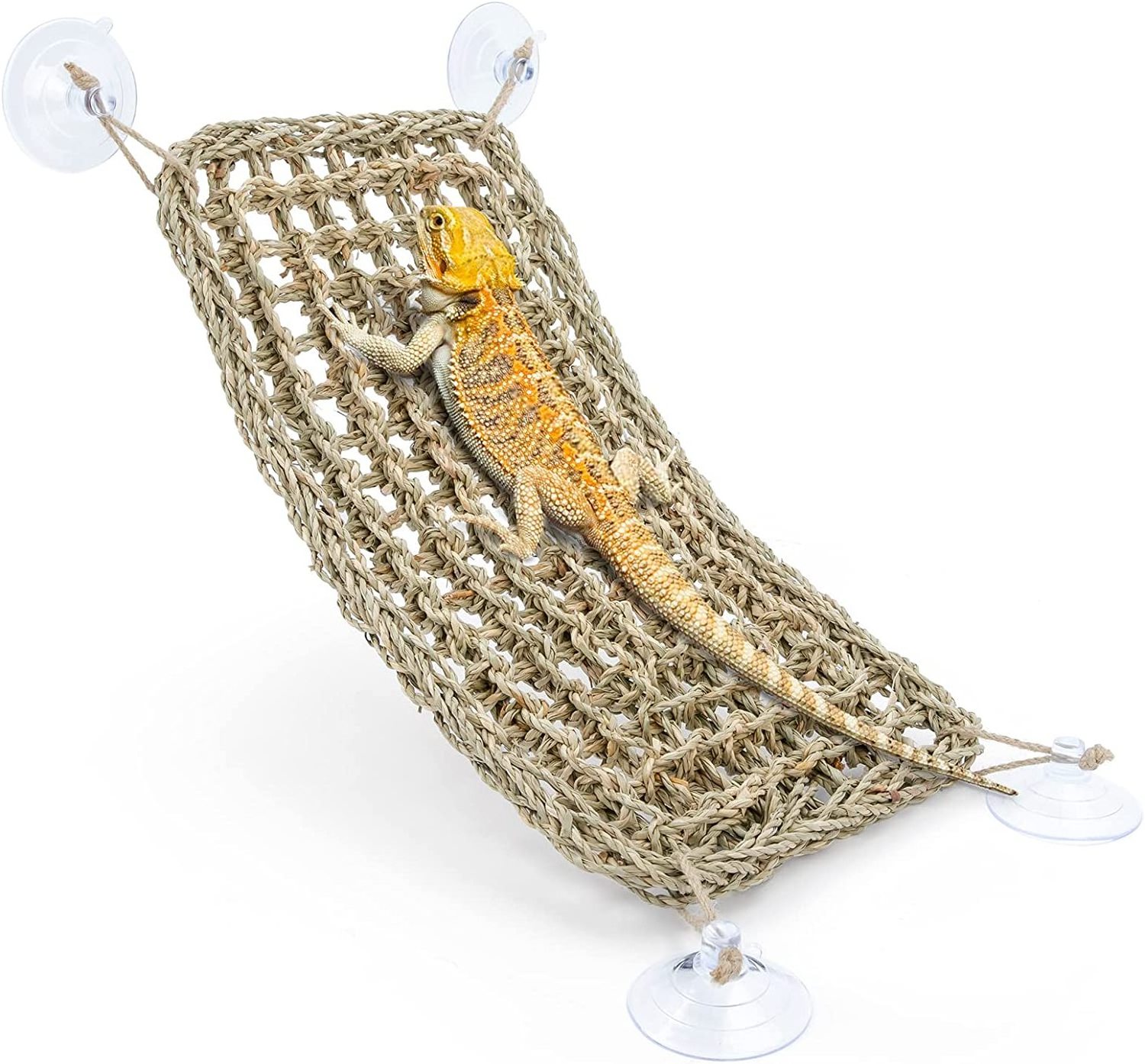 Rectangle Seagrass Bearded Dragon Hammock Reptile Lounger for Chameleon Lizards Gecko Snakes Lguana Reptiles Tortoises