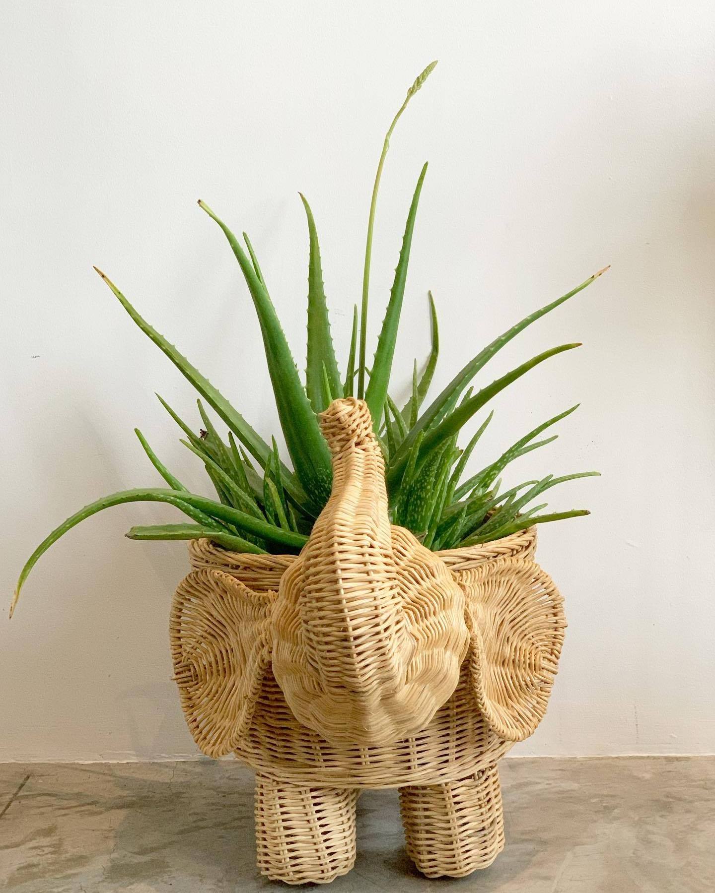 New Arrival Handmade Wicker Rattan Animal-Shaped Planter Natural Rattan Elephant Flower Pots & Planters for Home Decoration