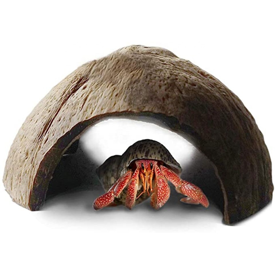 Natural Coconut Shell Reptile Hiding Cave Nest Coconut Hut For Small Animal Pet Cave Nest Hiding Cage From Vietnam