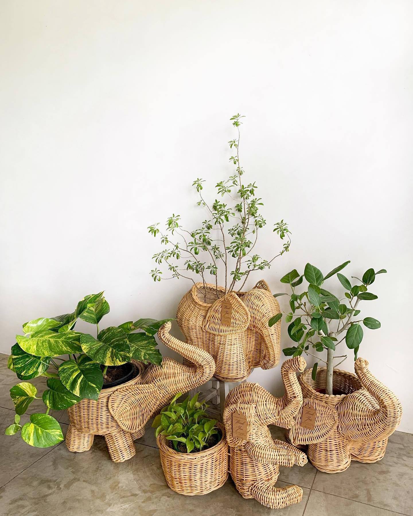 Natural handmade wicker rattan animal elephant shaped planter for home decoration, indoor flower pots & planters made in Vietnam