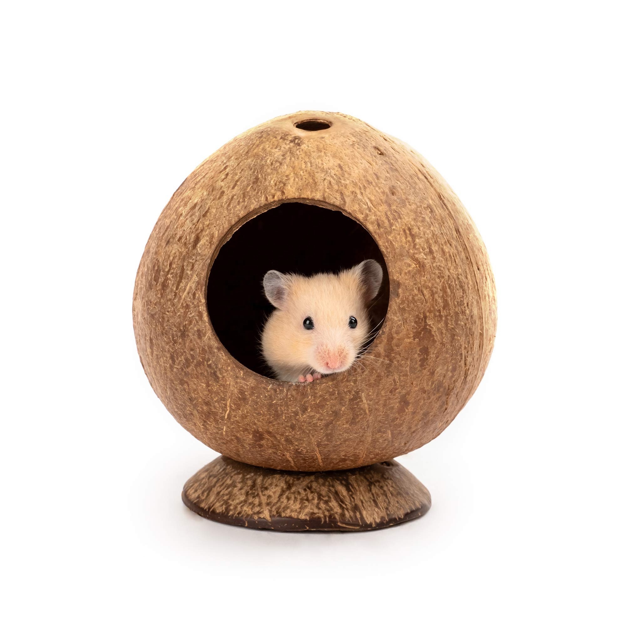 Coconut Hut Hamster House Bed for Gerbils Mice Small Animal Cage Hamster Hideout Coconut Nest Cage Handmade From Vietnam