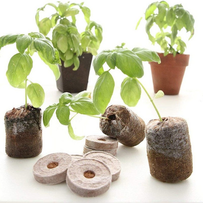 Wholesale Coco Peat Pellet For Growing Plants Coco Coir Pellet Fiber Soil For Planting Coconut Coir Seed For Gardening