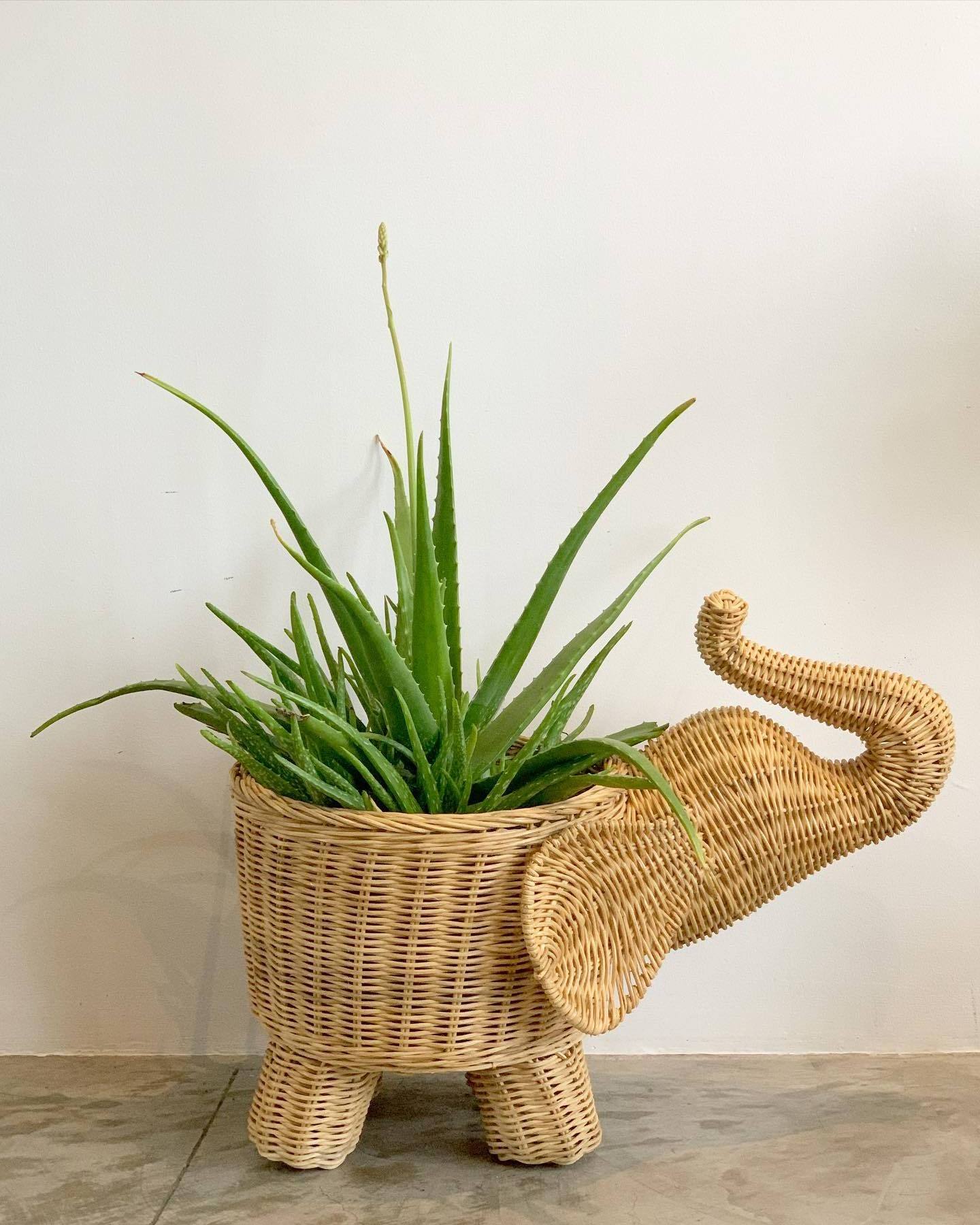 New Arrival Handmade Wicker Rattan Animal-Shaped Planter Natural Rattan Elephant Flower Pots & Planters for Home Decoration