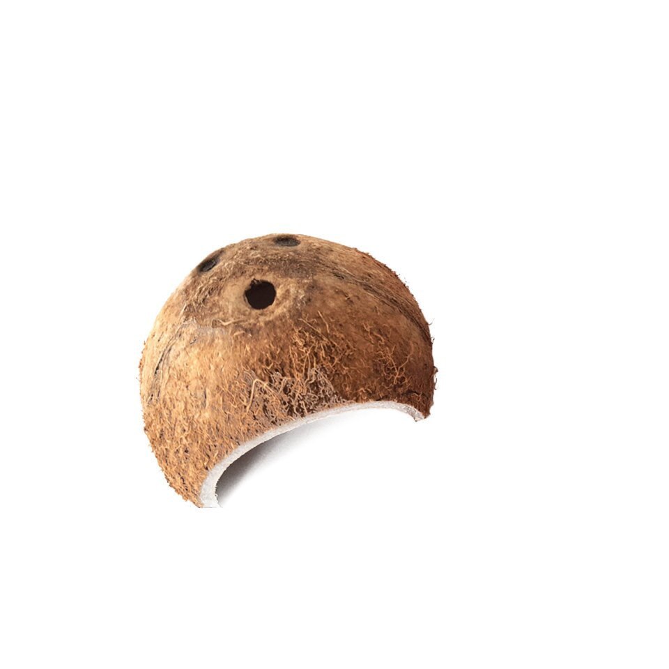 Natural Coconut Shell Reptile Hiding Cave Nest Coconut Hut For Small Animal Pet Cave Nest Hiding Cage From Vietnam