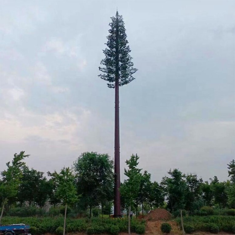 Communication Monopole Tower Bionic Pine Camouflaged Trees Telecommunication Tower