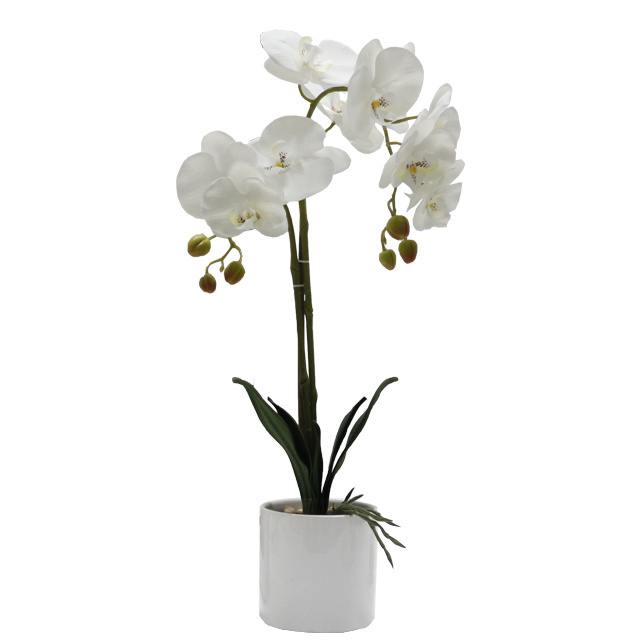 Fabric butterfly flower artificial orchid high simulation orchid white flower with ceramic pot