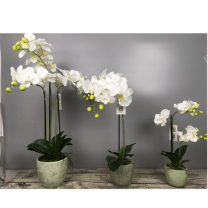 Artificial flower small orchid bonsai for home decoration