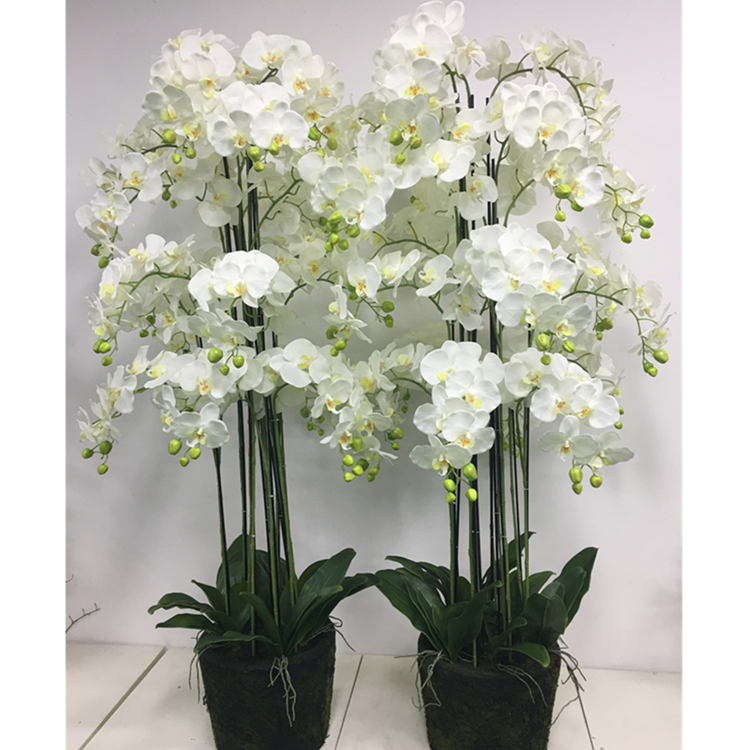 Wholesale Artificial Orchid Flower Giant Faux Phalaenopsis Flower With Pot orchid faux