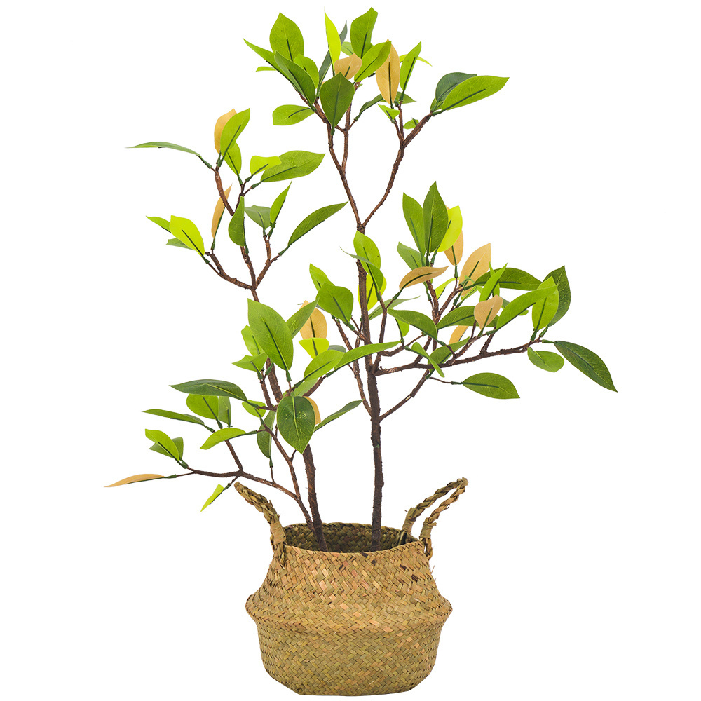 potted trees artificial plants trees mangrove bonsai