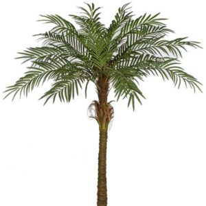 Anti UV Indoor Outdoor Decoration High Quality Favorable Price Artificial Phoenix Palm Tree