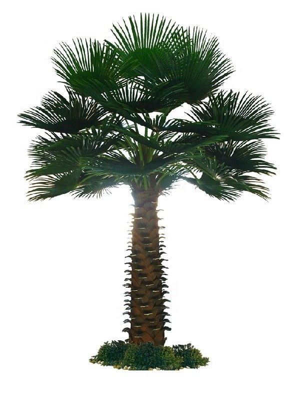 Theme park decoration Artificial Washington's Palm Tree outdoor artificial tropical tree plants