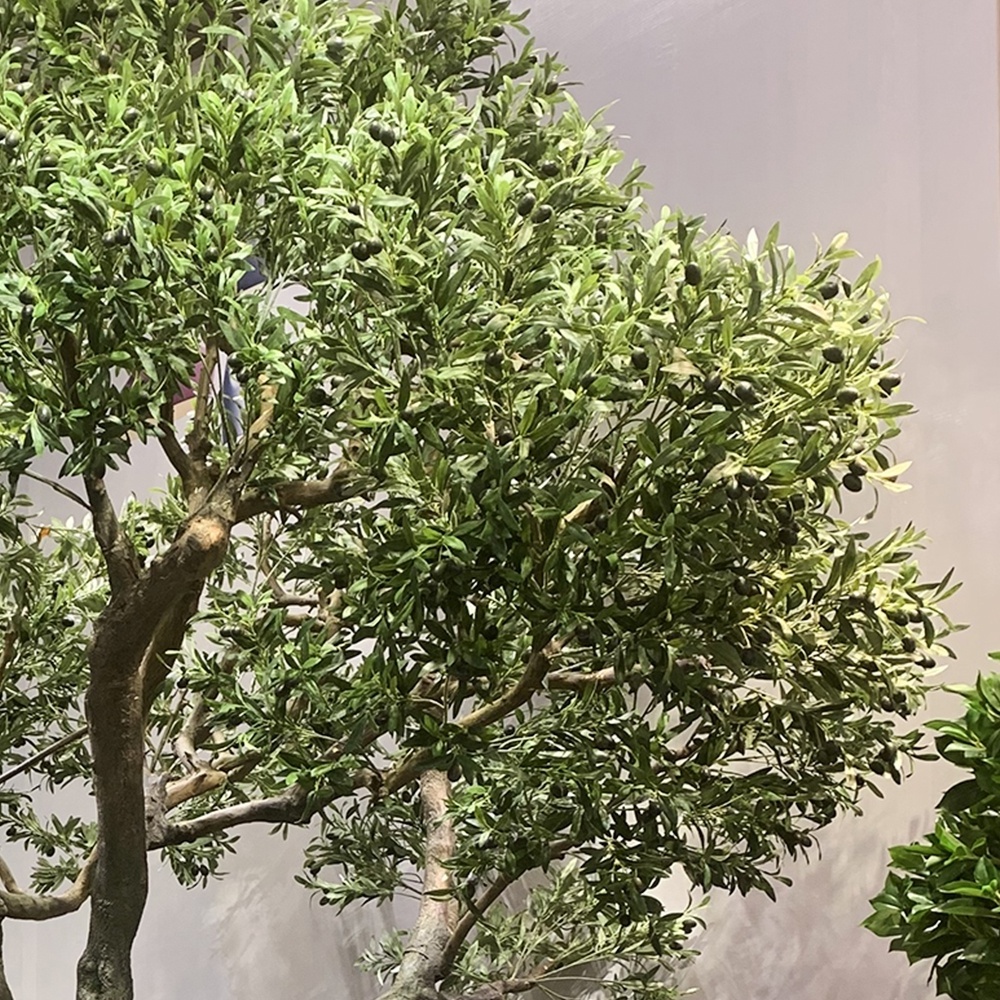 wholesale Custom Height Large Artificial Olive Tree Fiberglass Evergreen Big Size Natural Tree artificial big trees