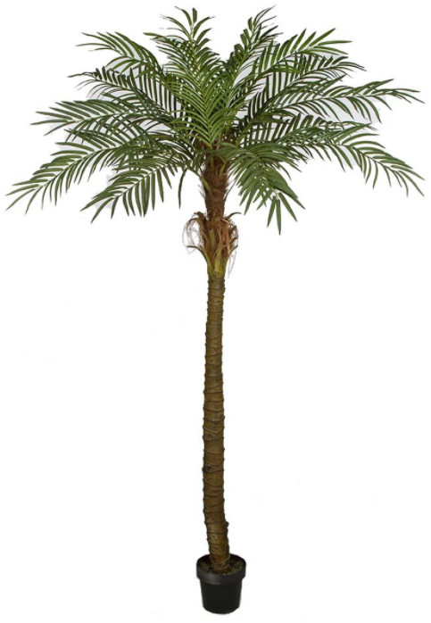 Anti UV Indoor Outdoor Decoration High Quality Favorable Price Artificial Phoenix Palm Tree