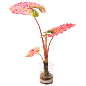 2023 Bonsai ARTIFICIAL CALADIUM PLANTS for Interior Desk decoration