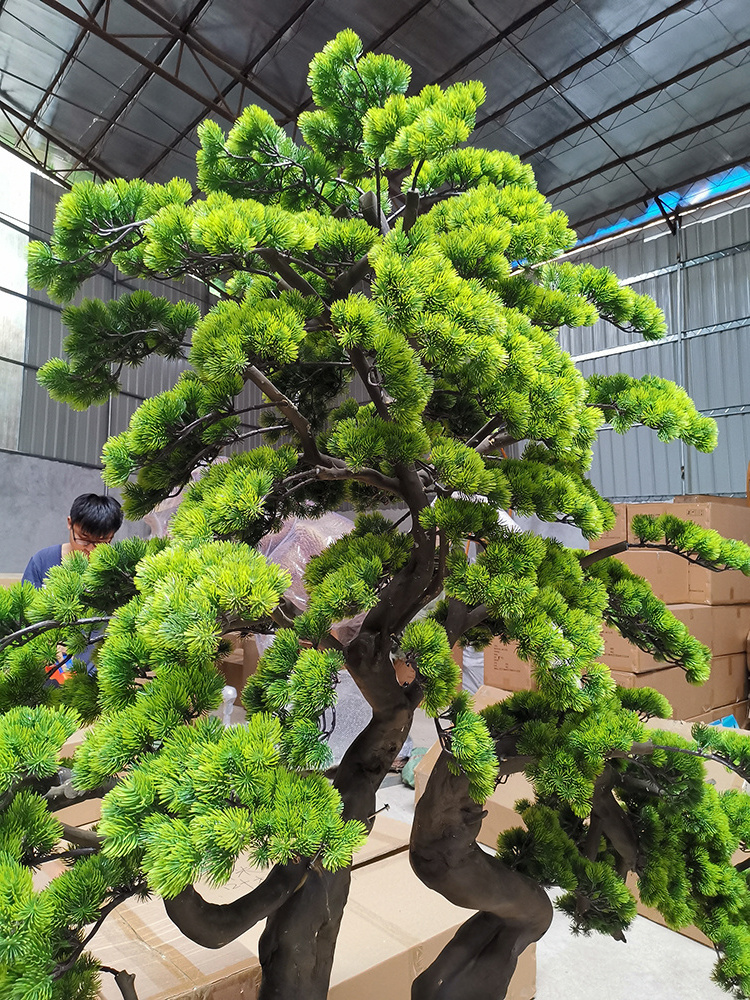 Good quality indoor podocarpus bonsai trees garden ornaments fake pine trees 2m high live artificial pine tree