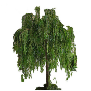 customized large evergreen  smelless artificial willow tree/ficus willow tree for home /restaurant decoration