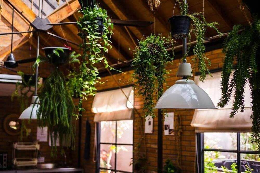 Fake hanging vine artificial hanging plants ceiling decoration