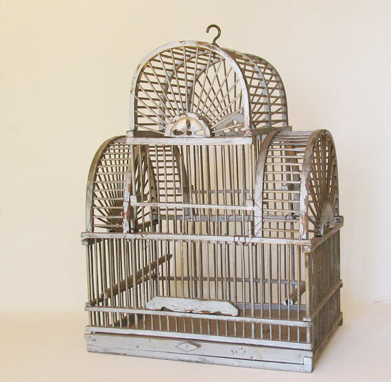 stainless steel Bird Cage