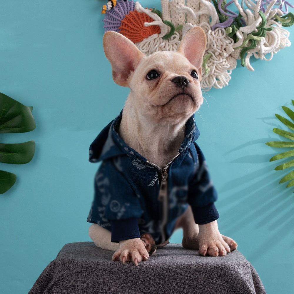 Wholesale pet clothes fashion design custom luxury dog clothes pet hooded denim jacket dog spring clothing popular denim jacket