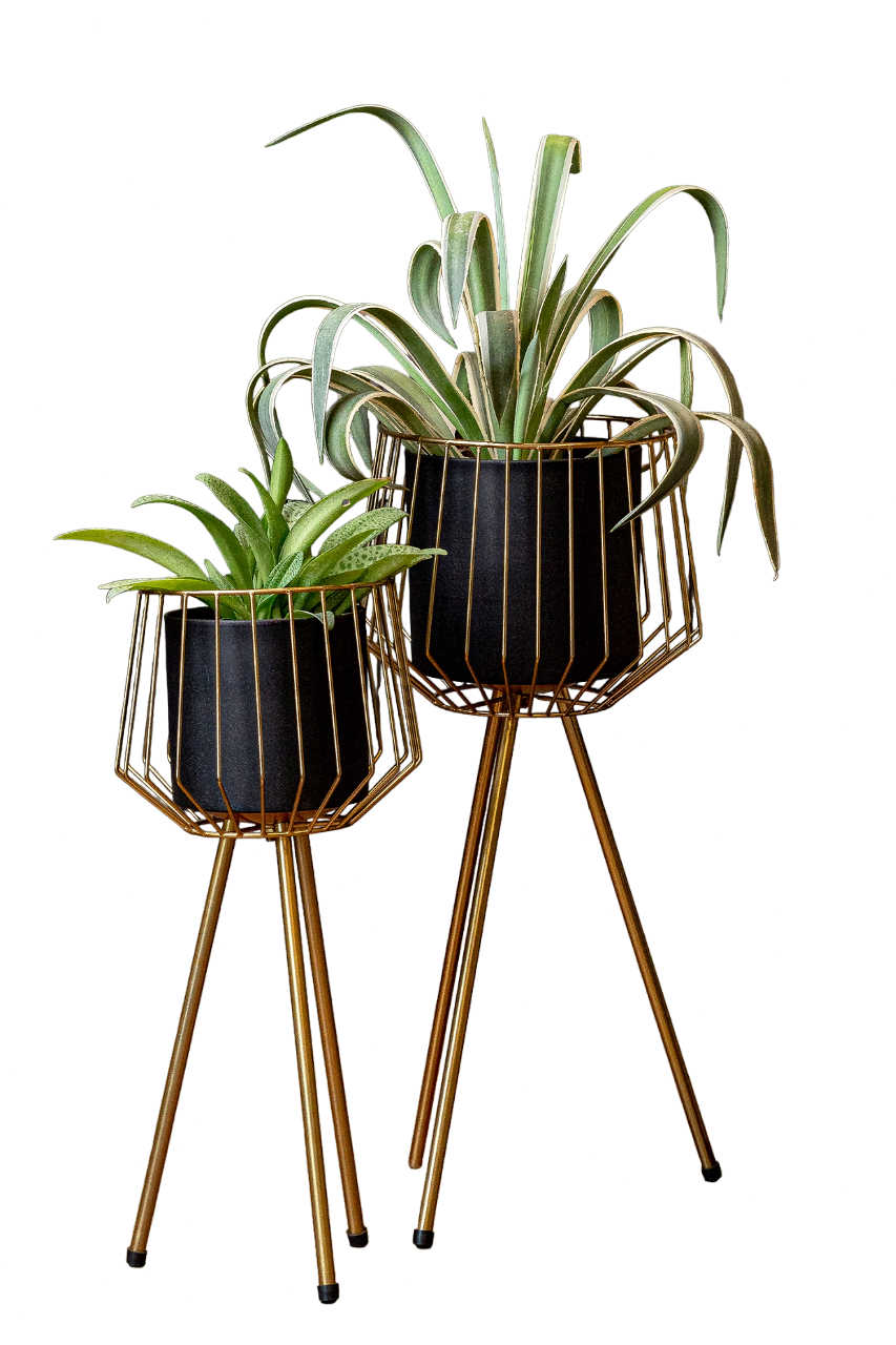 Geometric Design Planter Set Of 2 With Tripod Legs Stand A Beautiful And Elegant Masterpiece Is Must Have For Your Home Decor