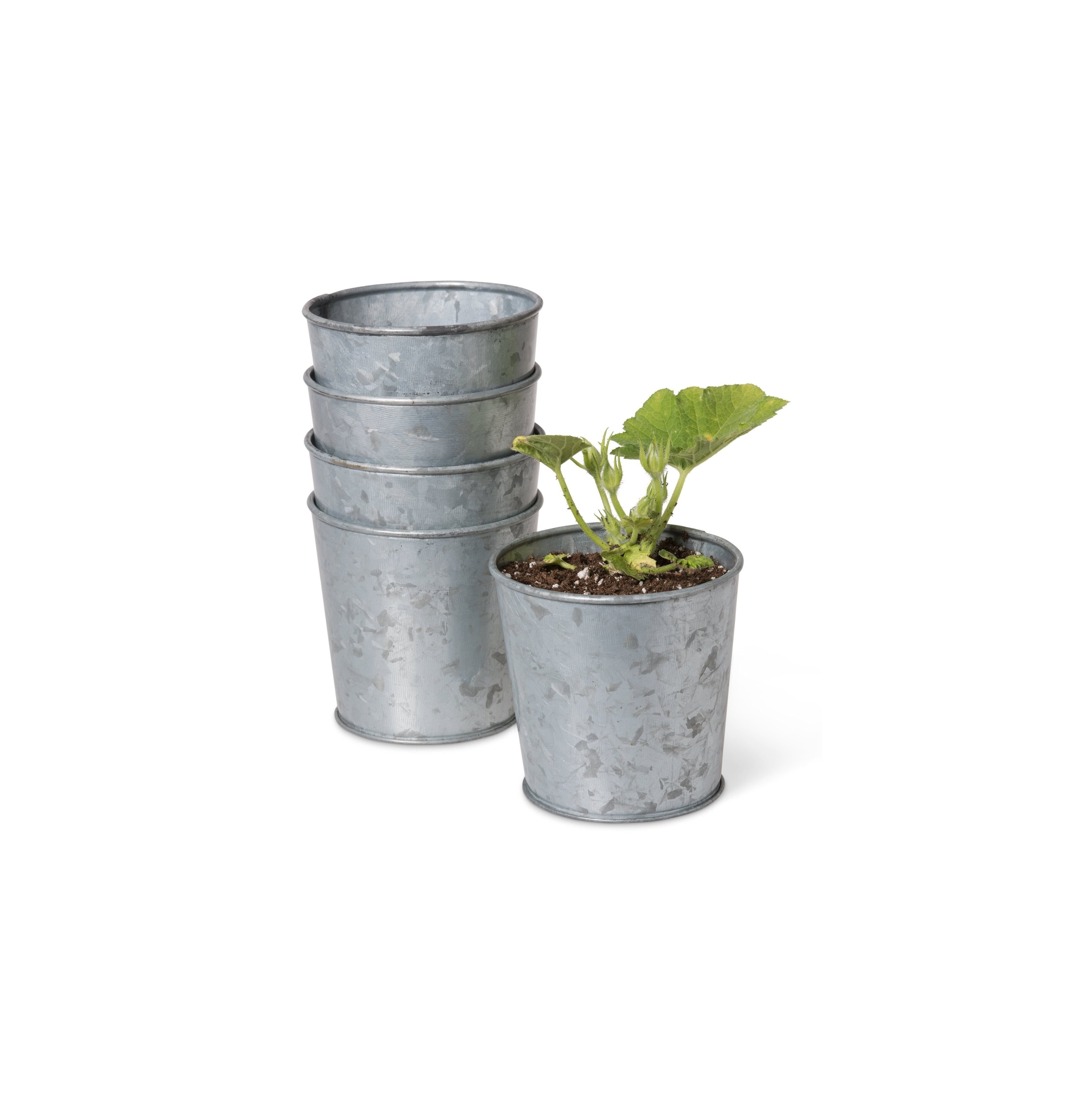 Planters Manufacturers Decoration Small Antique Metal Flower Vase Planter Galvanized Bucket Tin Garden Flower Vase with Handles