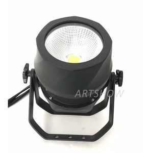 200w IP65 cob led par 64 can waterproof led par rgbw studio wash led chip par light 200W warm cool white 2in1