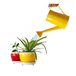 Golden Yellow Watering Can Launched Light Weight Small Steel Galvanized Metal Indoor Plant Can Watering Pot wholesale Supplier