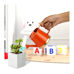 Eco Friendly Factory Low MOQ Small Steel Galvanized Metal Indoor Plant Watering Can Watering Pot wholesale Supplier