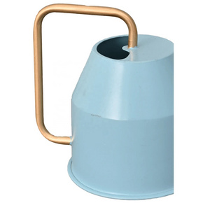 Luxurious Light Weight Small Steel Galvanized Metal Indoor Plant Watering Can Watering Pot wholesale Supplier