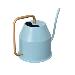 New Arrival Disruptive Designer Small Steel Galvanized Metal Indoor Plant Watering Can Watering Pot wholesale Supplier