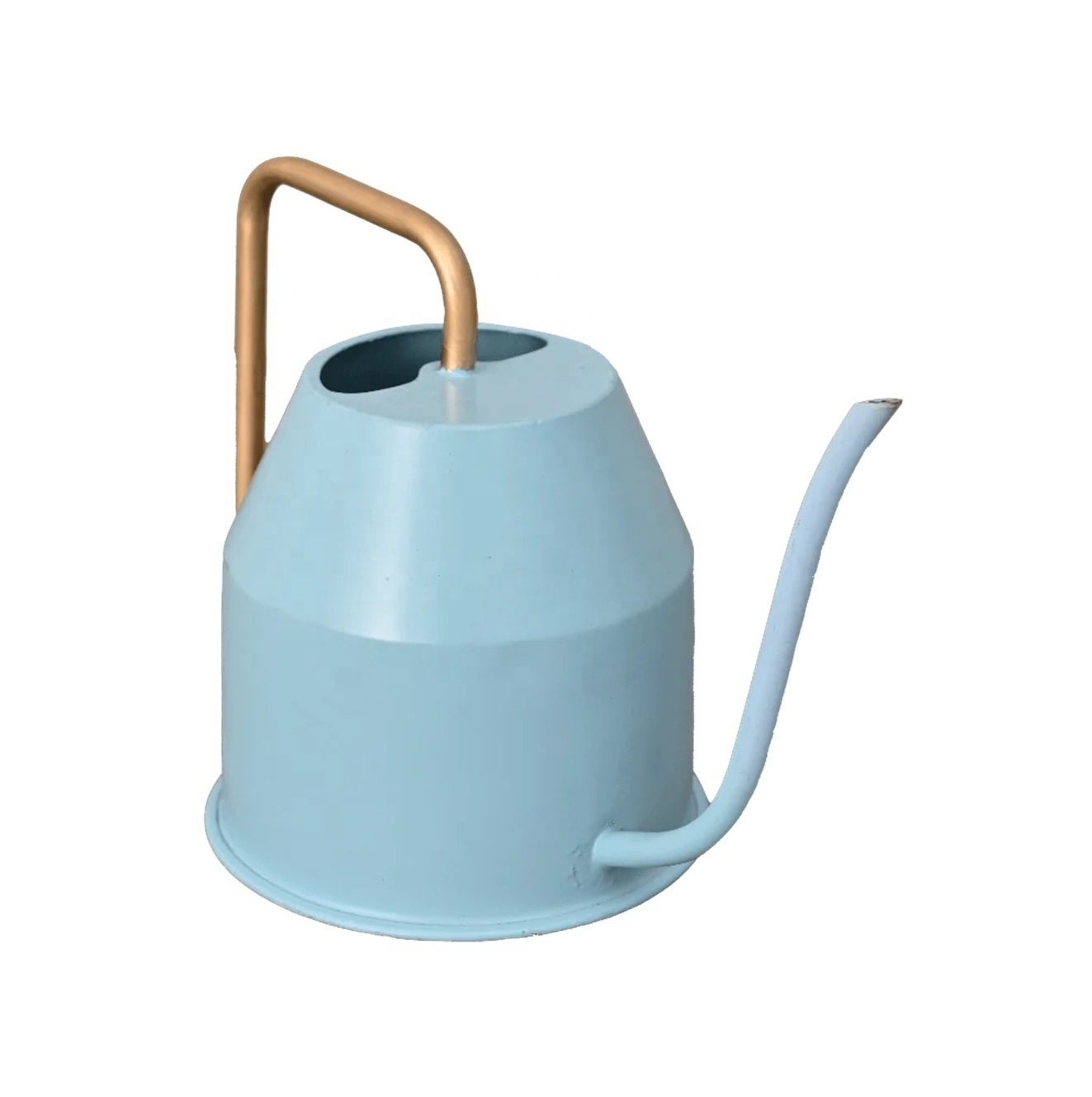 New Arrival Disruptive Designer Small Steel Galvanized Metal Indoor Plant Watering Can Watering Pot wholesale Supplier